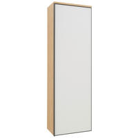 GARDEROBENSCHRANK  in 54/170/31 cm  - Eichefarben/Anthrazit, Design, Glas/Holz (54/170/31cm) - Dieter Knoll
