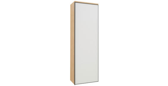 GARDEROBENSCHRANK 54/170/31 cm  - Eichefarben/Anthrazit, Design, Glas/Holz (54/170/31cm) - Dieter Knoll