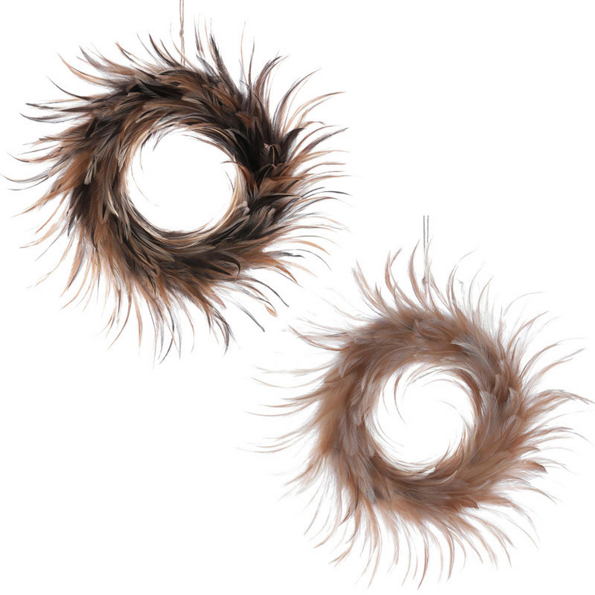 DEKORAČNÍ PERA - hnědá, Lifestyle, přírodní materiály (20/4/20cm)