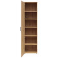 MEHRZWECKSCHRANK 50/195/40 cm  - Anthrazit/Schwarz, MODERN, Holzwerkstoff/Kunststoff (50/195/40cm) - Carryhome