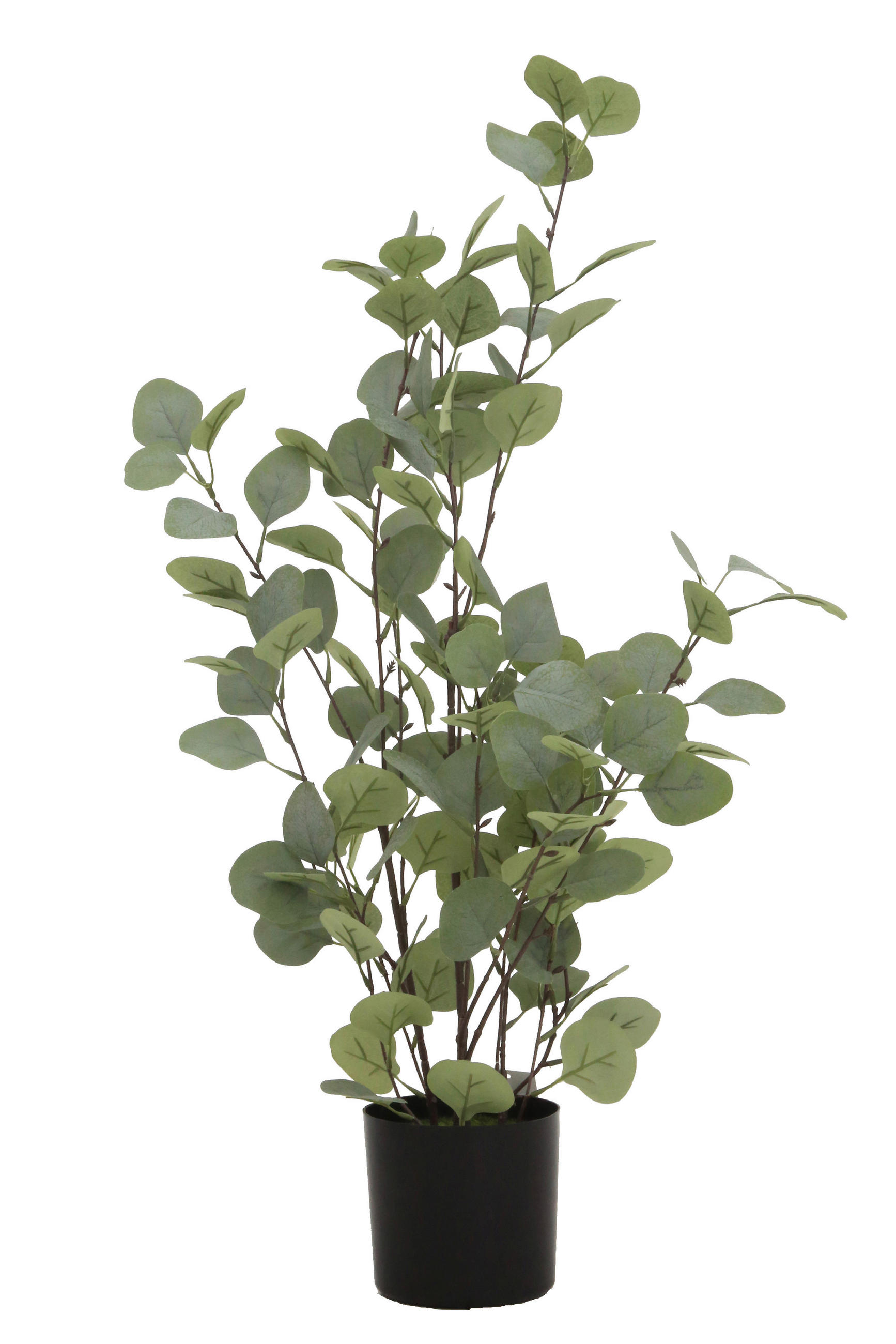 Ambia Home Kunstpflanze Olivgrün 76 cm