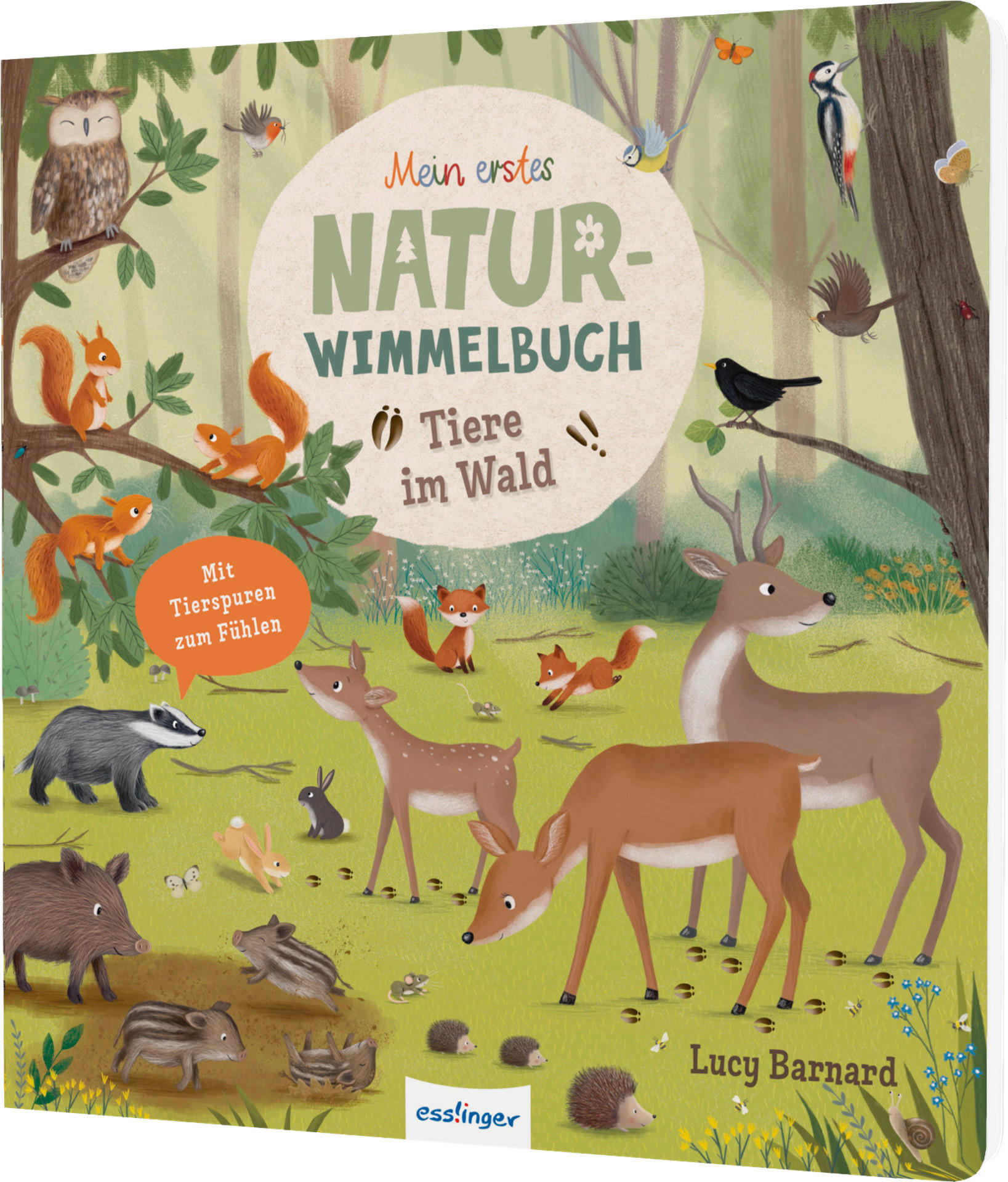 WIMMELBUCH Tiere im Wald  - Multicolor, Basics, Papier (23,5/24,5/1,6cm)
