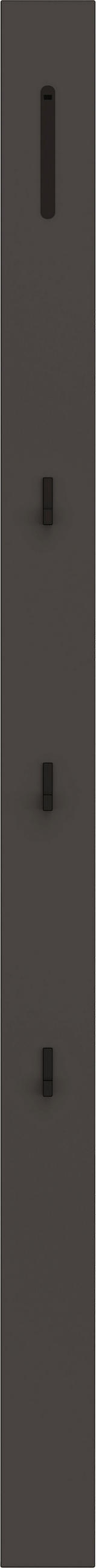 GARDEROBENPANEEL  in 10/165/5 cm  - Anthrazit/Schwarz, Design, Holzwerkstoff/Metall (10/165/5cm) - Dieter Knoll