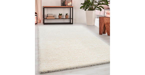 HOCHFLORTEPPICH 80/150 cm Dream 4000 Creme  - Creme, Basics, Textil (80/150cm) - Novel