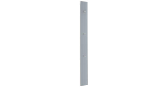 GARDEROBENPANEEL in 16/170/7 cm - Grau, Design, Glas/Holzwerkstoff (16/170/7cm) - Novel