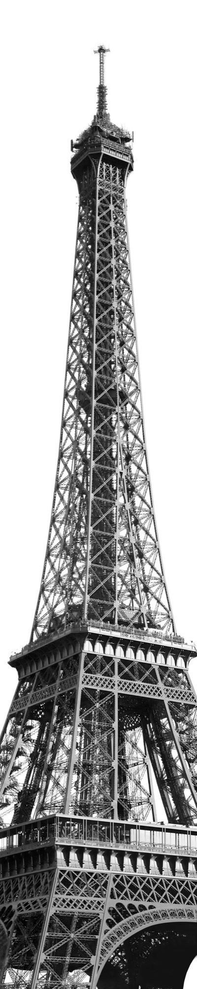 Komar VLIESOVÁ TAPETA velikost: 50/250 cm