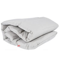 LIEGENAUFLAGE in Hellgrau  - Hellgrau, Basics, Textil (60/6/190cm) - FIAM