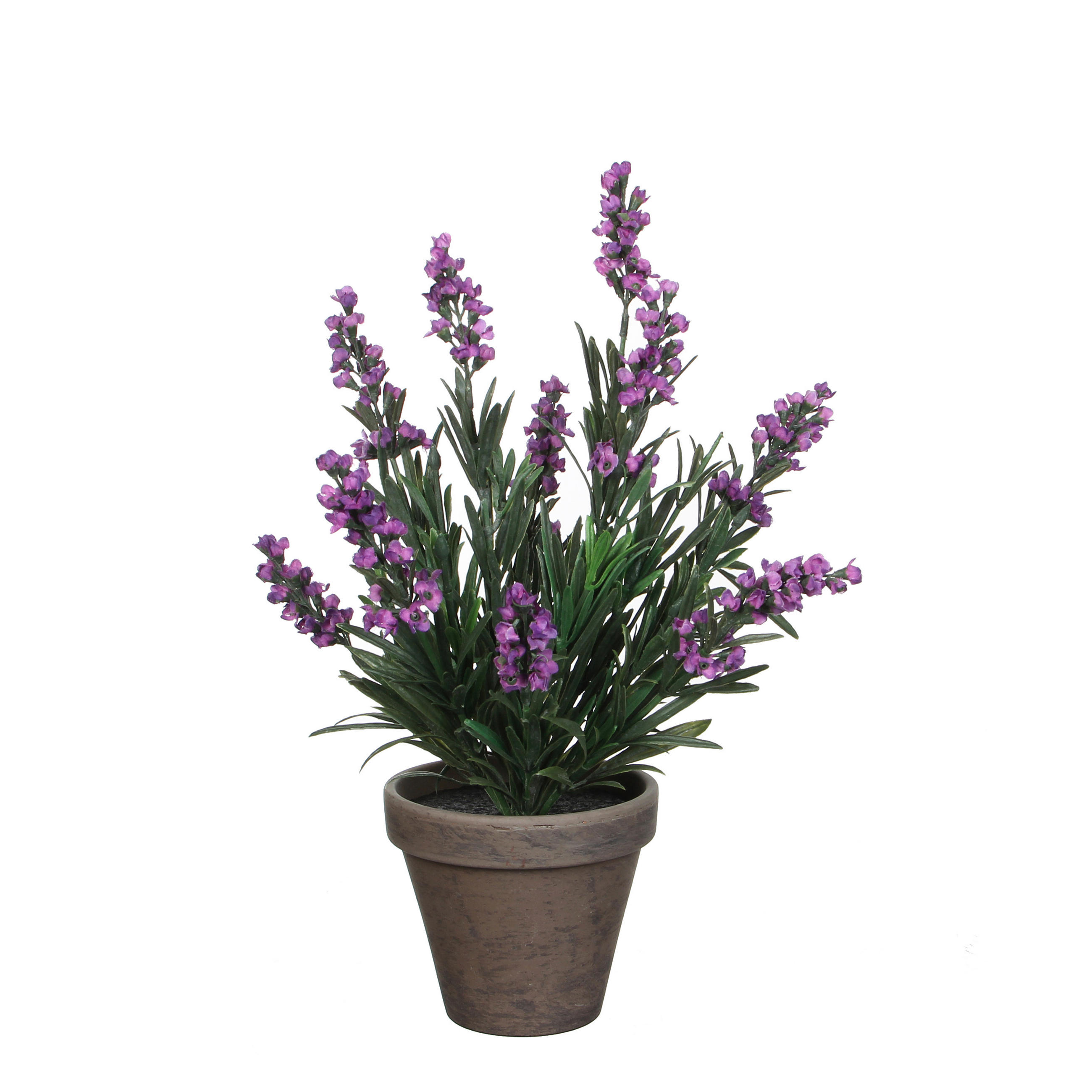 LAVANDA  - ljubičasta, Basics, plastika (20/33cm)