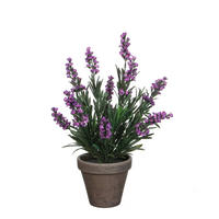 LAVANDA  - ljubičasta, Basics, plastika (20/33cm)