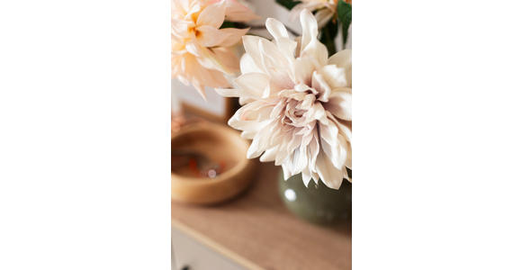 SCHUHSCHRANK 120/120/38 cm  - Eichefarben/Silberfarben, Basics, Holzwerkstoff/Kunststoff (120/120/38cm) - Moderano