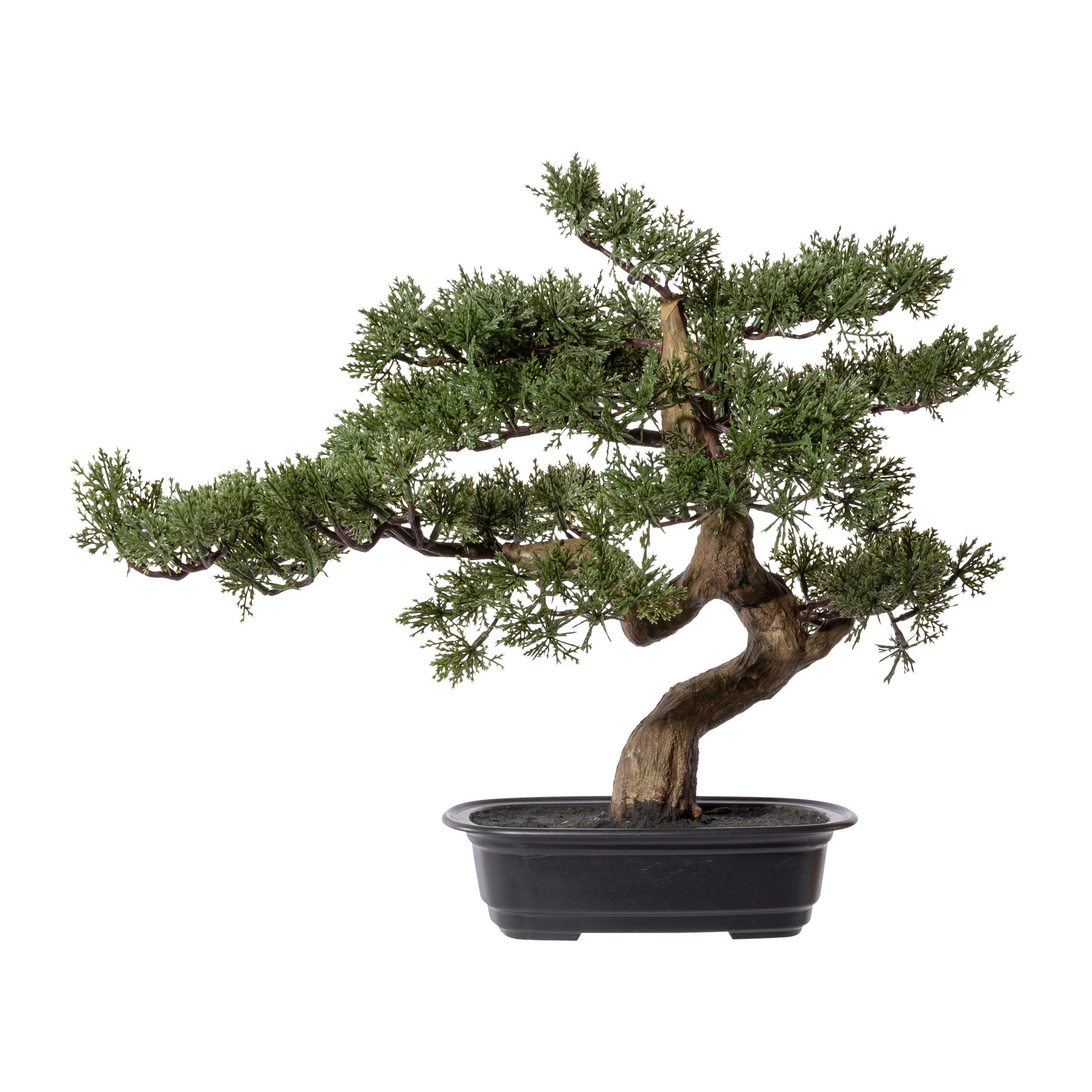 KUNSTPFLANZE Bonsai 40 cm  - Schwarz/Braun, Design, Kunststoff (40cm) - P & B