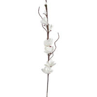 UMĚLÁ KVĚTINA 122 cm - bílá/hnědá, Basics, kov/plast (122cm) - Ambia Home