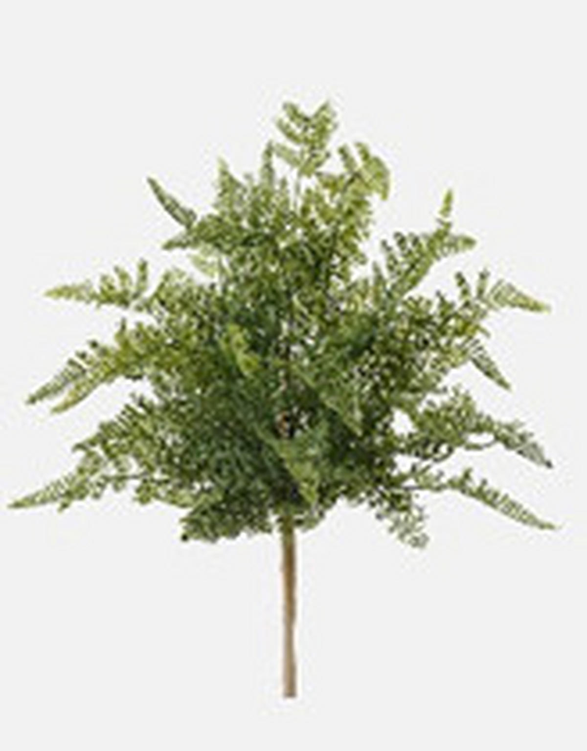 MŰNÖVÉNY - zöld, Basics, műanyag