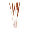 TROCKENBLUME  - Braun, Basics, Naturmaterialien (75cm)