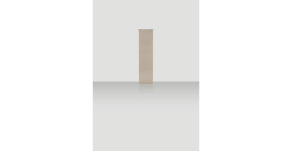 FLÄCHENVORHANG in Sandfarben  - Sandfarben, Design, Textil (60/255cm) - Novel