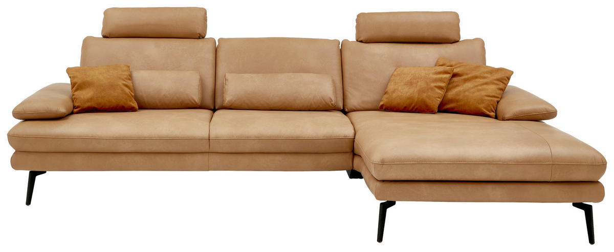 ECKSOFA Honig Echtleder  - Schwarz/Honig, Design, Leder/Metall (310/180cm) - Dieter Knoll