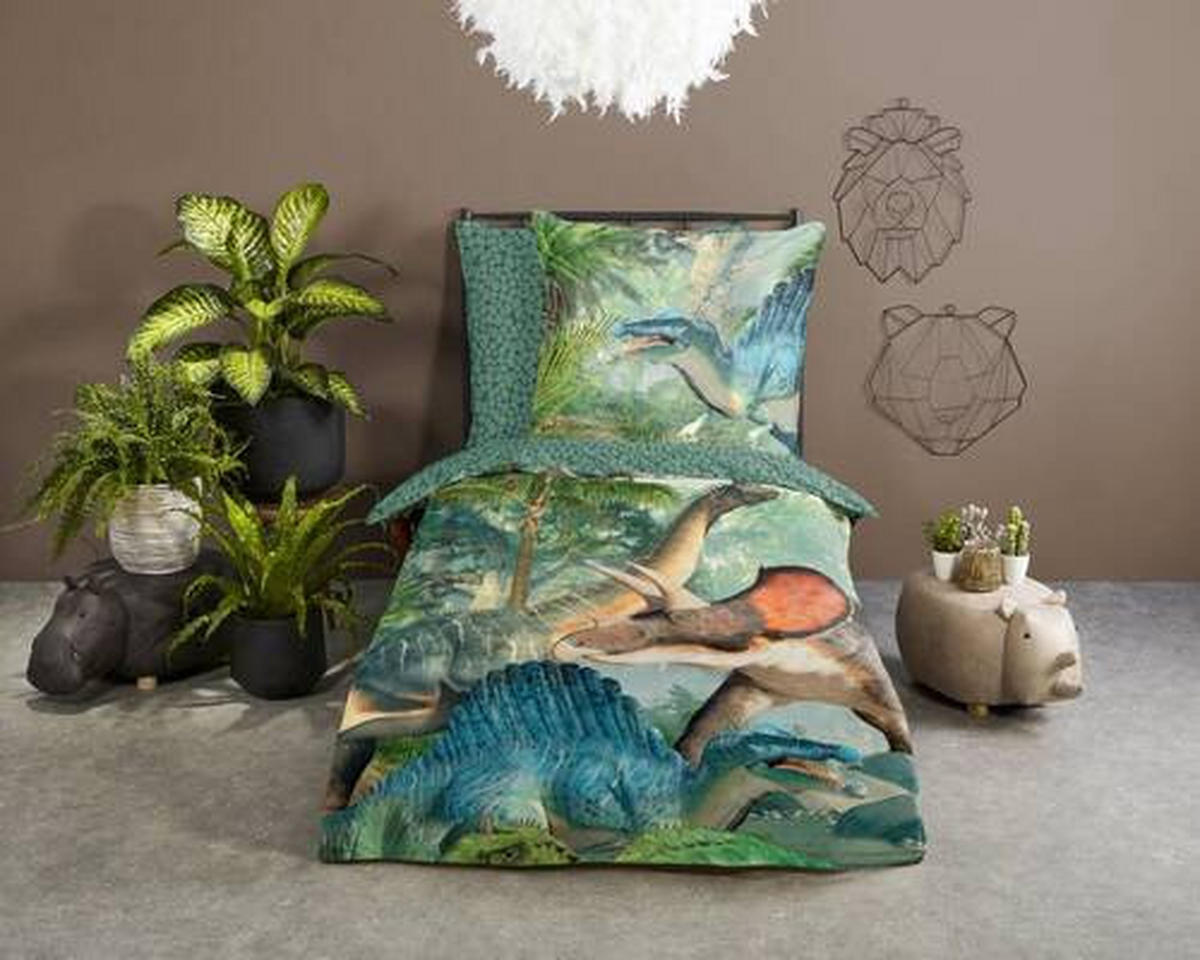 JUGENDBETTWÄSCHE Jurassic Renforcé 135/200 cm  - Multicolor, Design, Textil (135/200cm)