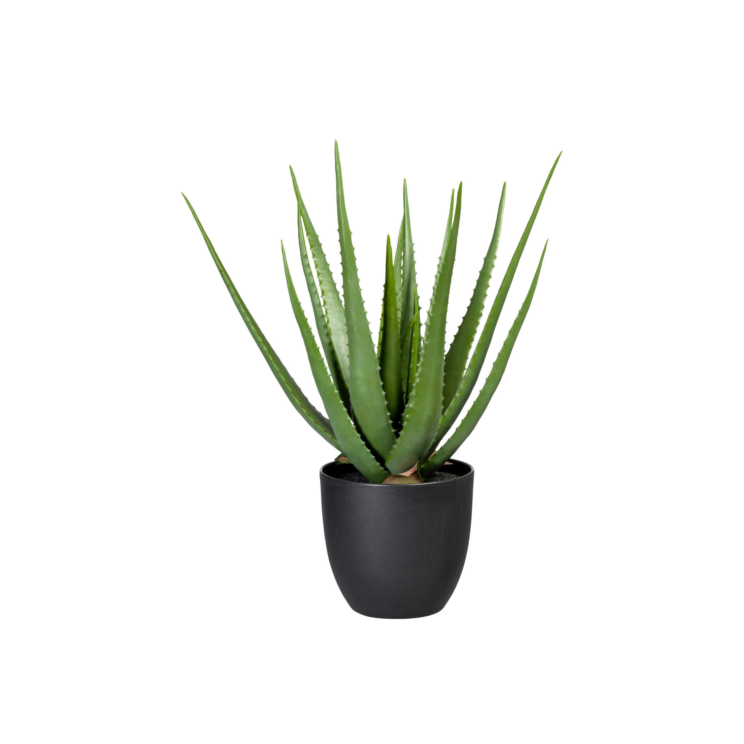 KUNSTPFLANZE Aloe Vera 55 cm  - Schwarz/Grün, Design, Kunststoff (55cm) - P & B