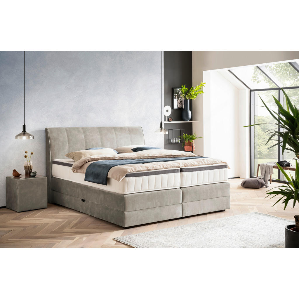 Thumbnail - Novel Boxspringbett, Hellgrau, Textil, Wenge, H2 + H4, 7-Zonen, Höhe ca. 27 cm, 160x200 cm, Bettkasten, Federkernmatratz...