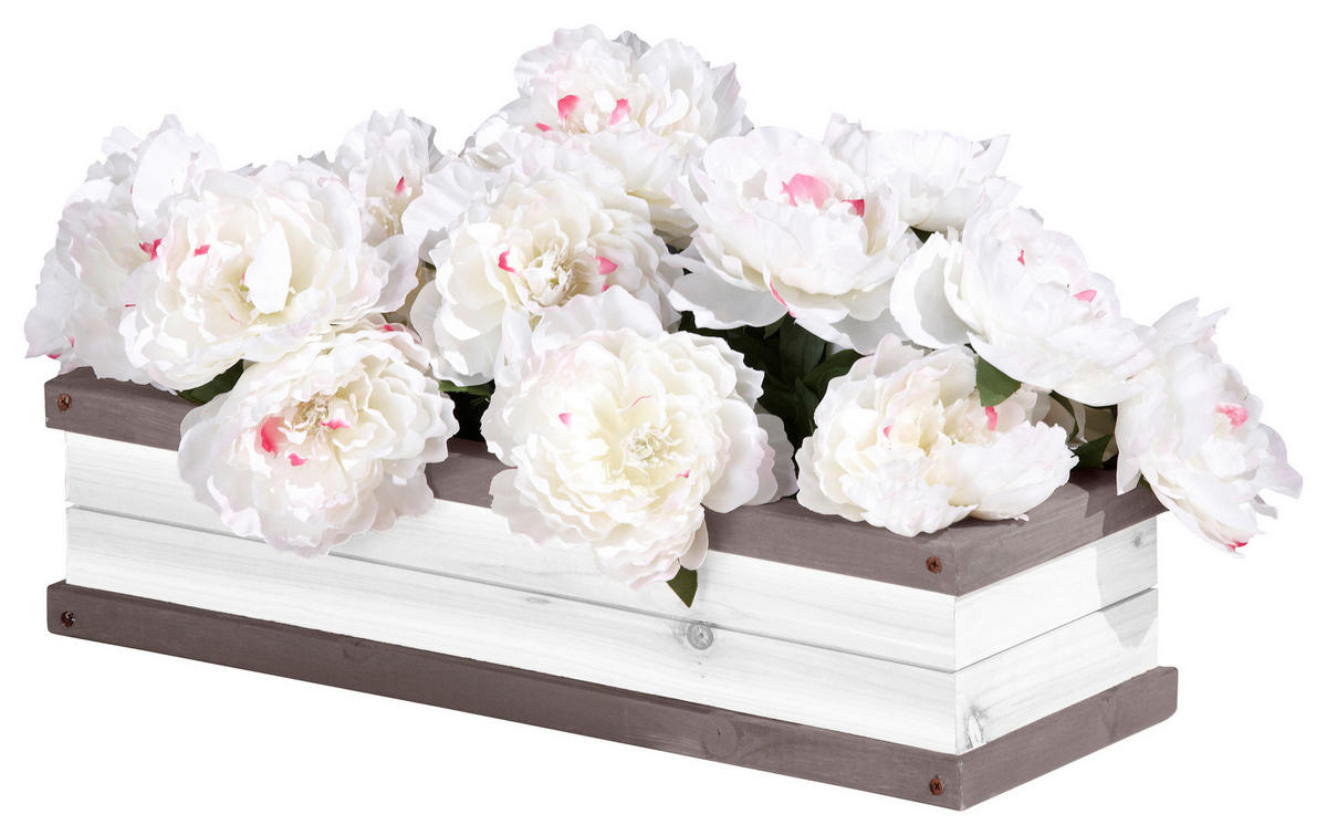 BLUMENKASTEN - Weiss/Grau, Konventionell, Holz (54/11,5/19cm)