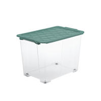 BOX MIT DECKEL EVO SAFE  - Transparent/Grün, Basics, Kunststoff (59/39,5/41,2cm) - Rotho