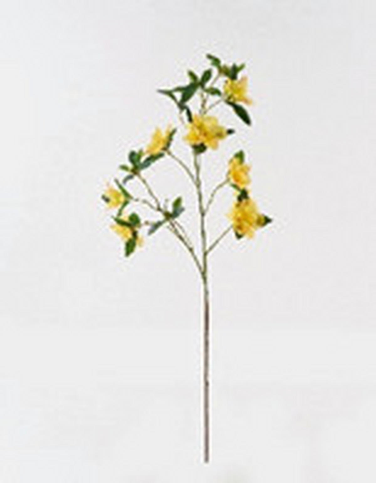 MŰNÖVÉNY - sárga/barna, Basics, műanyag