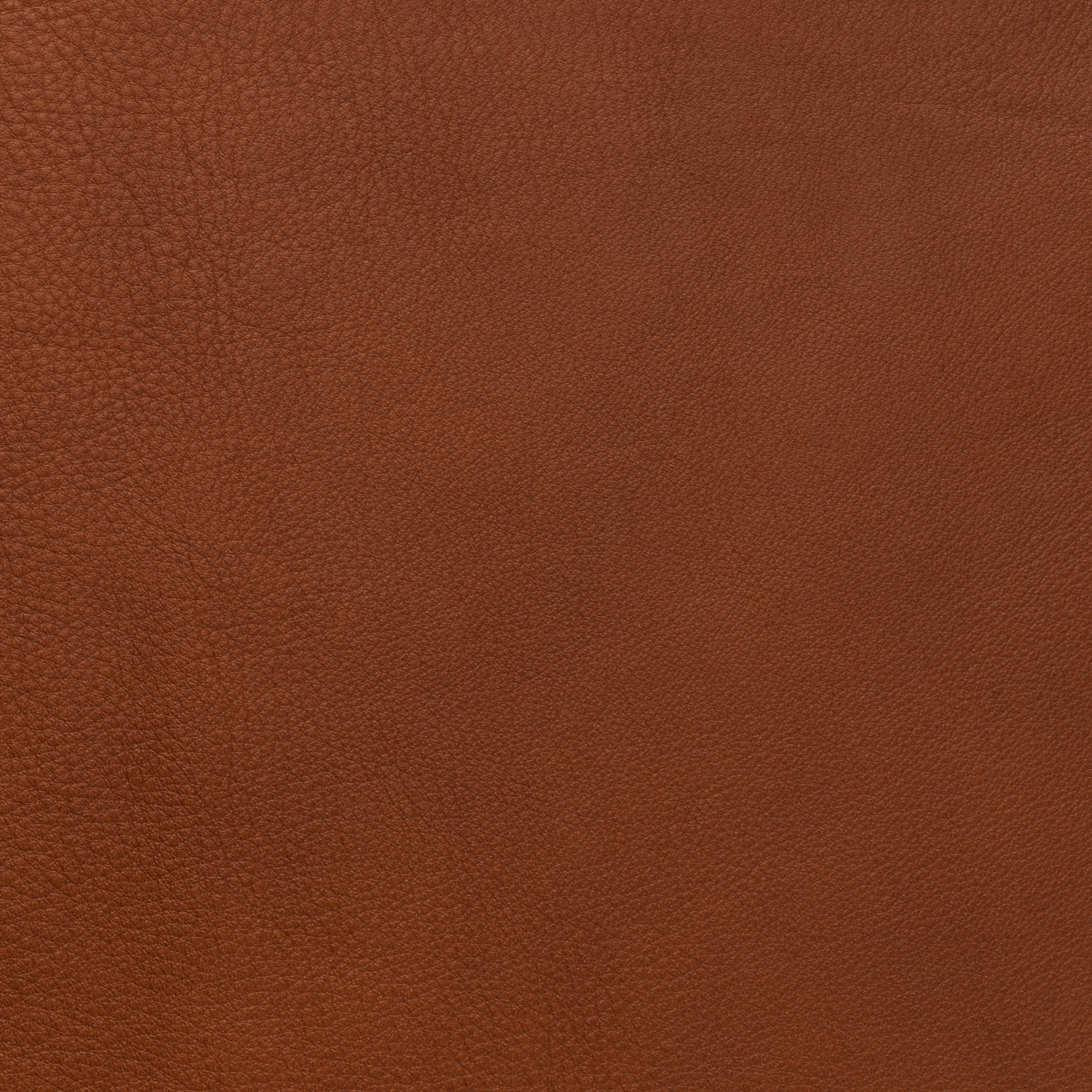 Thumbnail - Conform Relaxsessel, Schwarz, Cognac, Holz, Leder, Echtleder, Anilinleder, Eiche, furniert, 79x111x83 cm, Fußauswahl, Le...