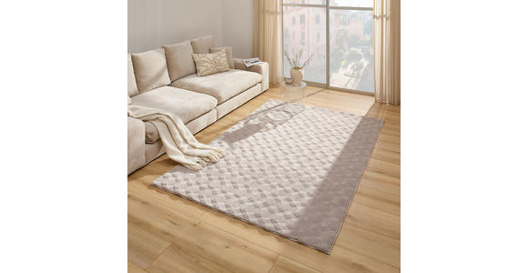 HOCHFLORTEPPICH 80/150 cm Beige  - Beige, KONVENTIONELL, Textil (80/150cm) - Novel
