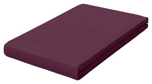 Schlafgut Spannbetttuch Frottex Lila 100x200 cm