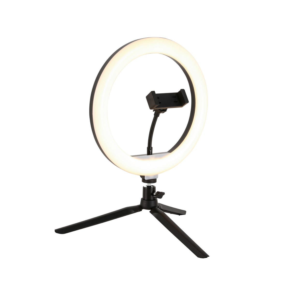 LED-RINGLAMPA 24,5/38 cm   - vit/svart, Trend, metall/plast (24,5/38cm) - Novel