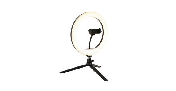 LED-RINGLEUCHTE 24,5/38 cm   - Schwarz/Weiß, Trend, Kunststoff/Metall (24,5/38cm) - Novel