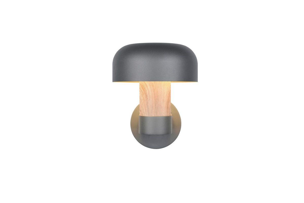 AUSSENWANDLEUCHTE - Anthrazit/Braun, Design, Metall (19/24,5/25cm) - Trio Leuchten