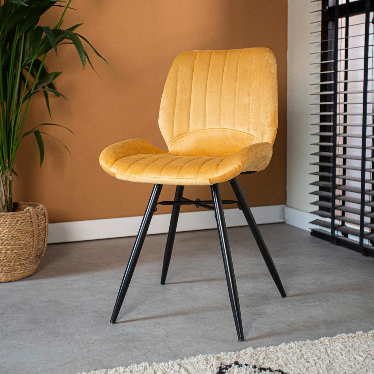 STUHL-SET 4 Stück  in Samt  - Gelb/Schwarz, Design, Textil/Metall (47/82/55cm) - MID.YOU