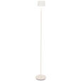 AKKU-STEHLEUCHTE 16/120 cm    - Weiß, Design, Kunststoff/Metall (16/120cm) - Dieter Knoll