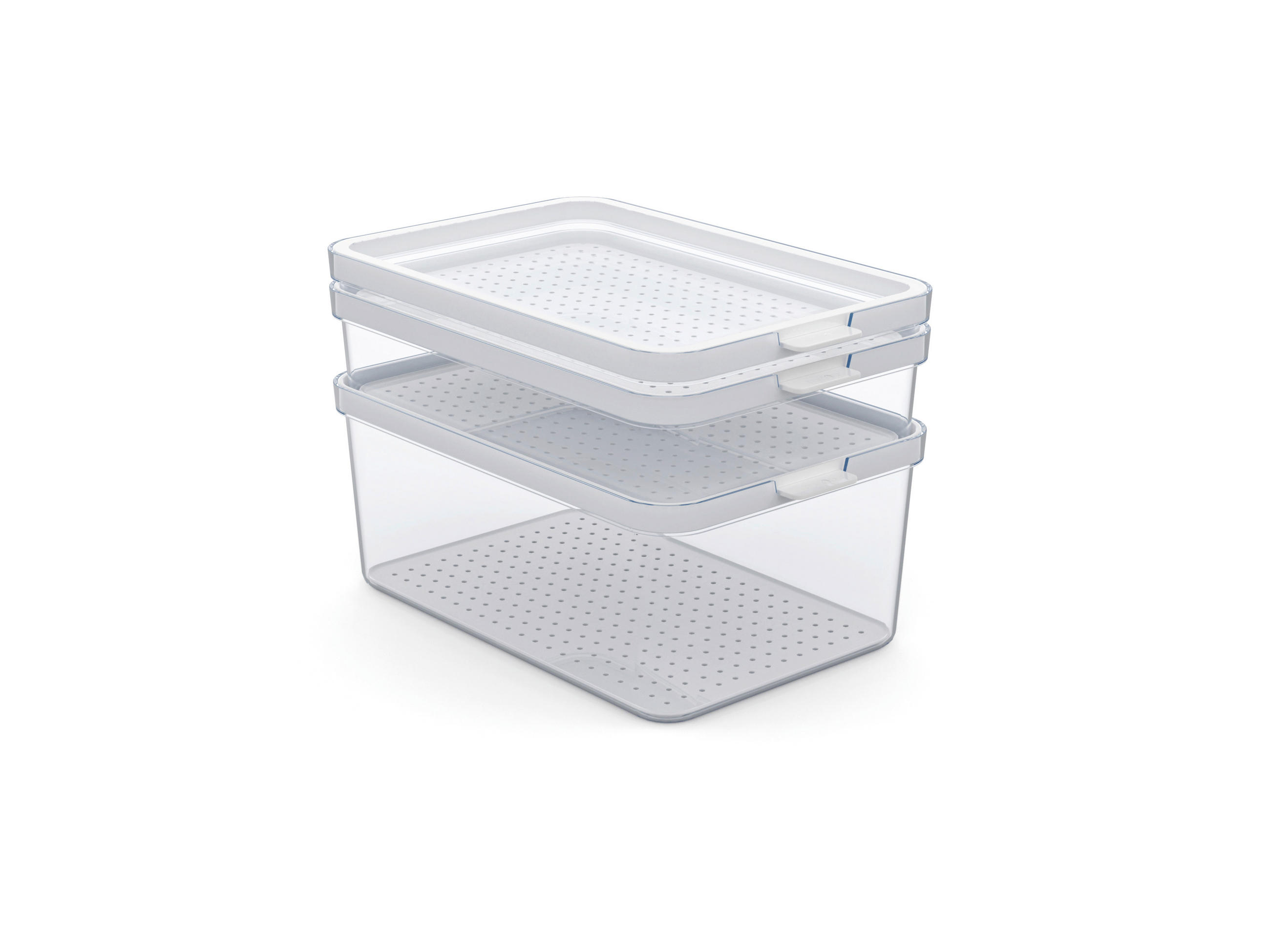 KÜHLSCHRANKBOX CAUMA  - Weiß, Basics, Kunststoff (28,4/18,7/19cm) - Rotho