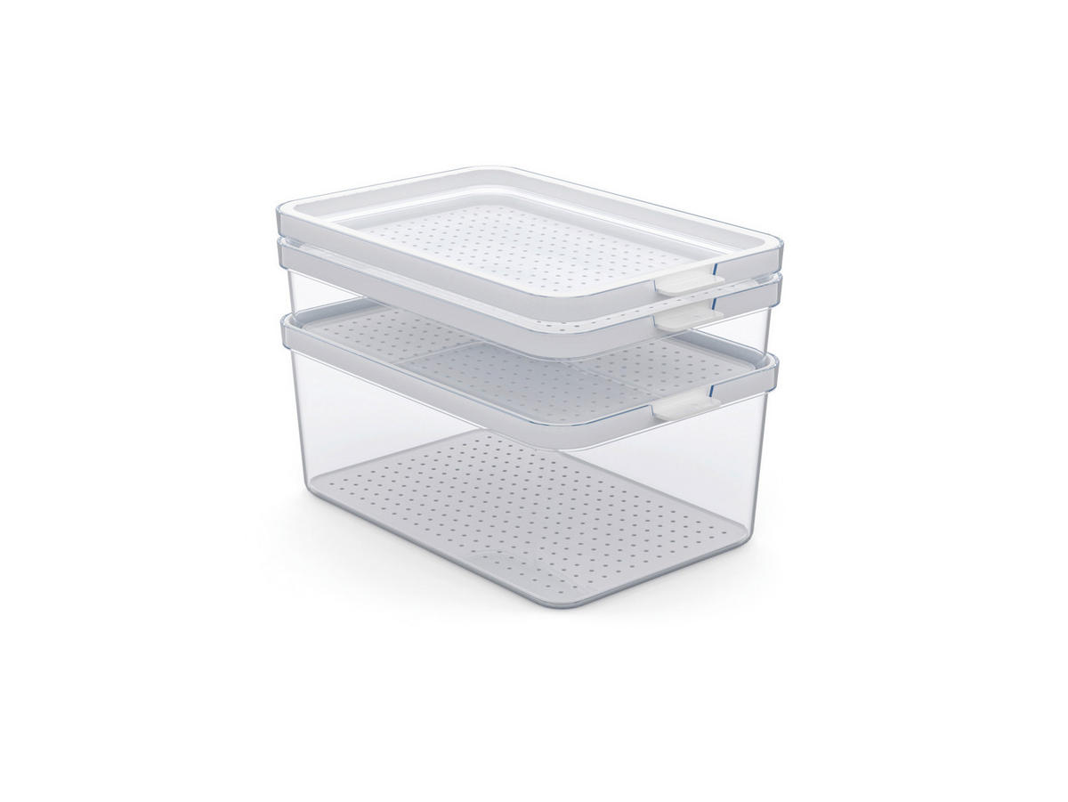 KÜHLSCHRANKBOX CAUMA  - Weiß, Basics, Kunststoff (28,4/18,7/19cm) - Rotho