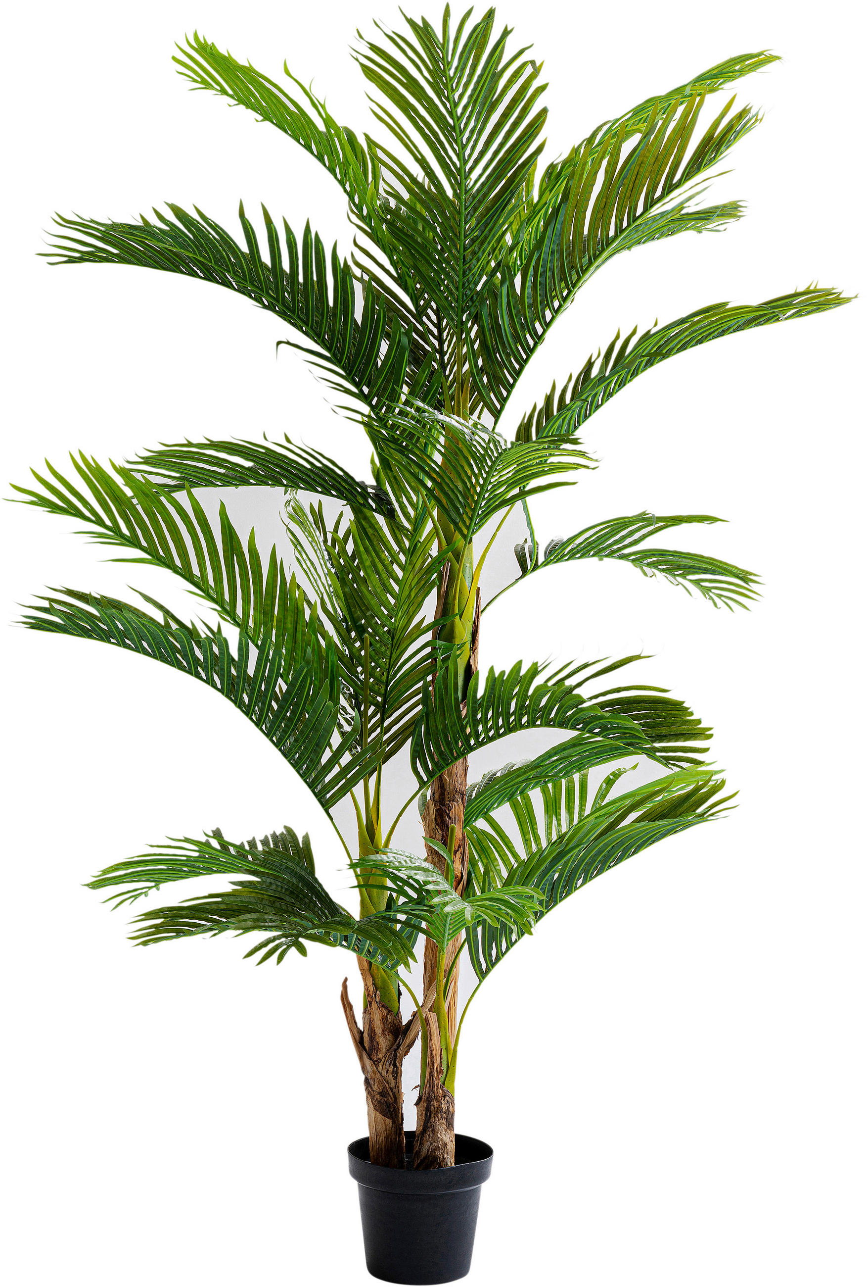Kare-Design Kunstpflanze Schwarz, Grasgrün 47x190x47 cm