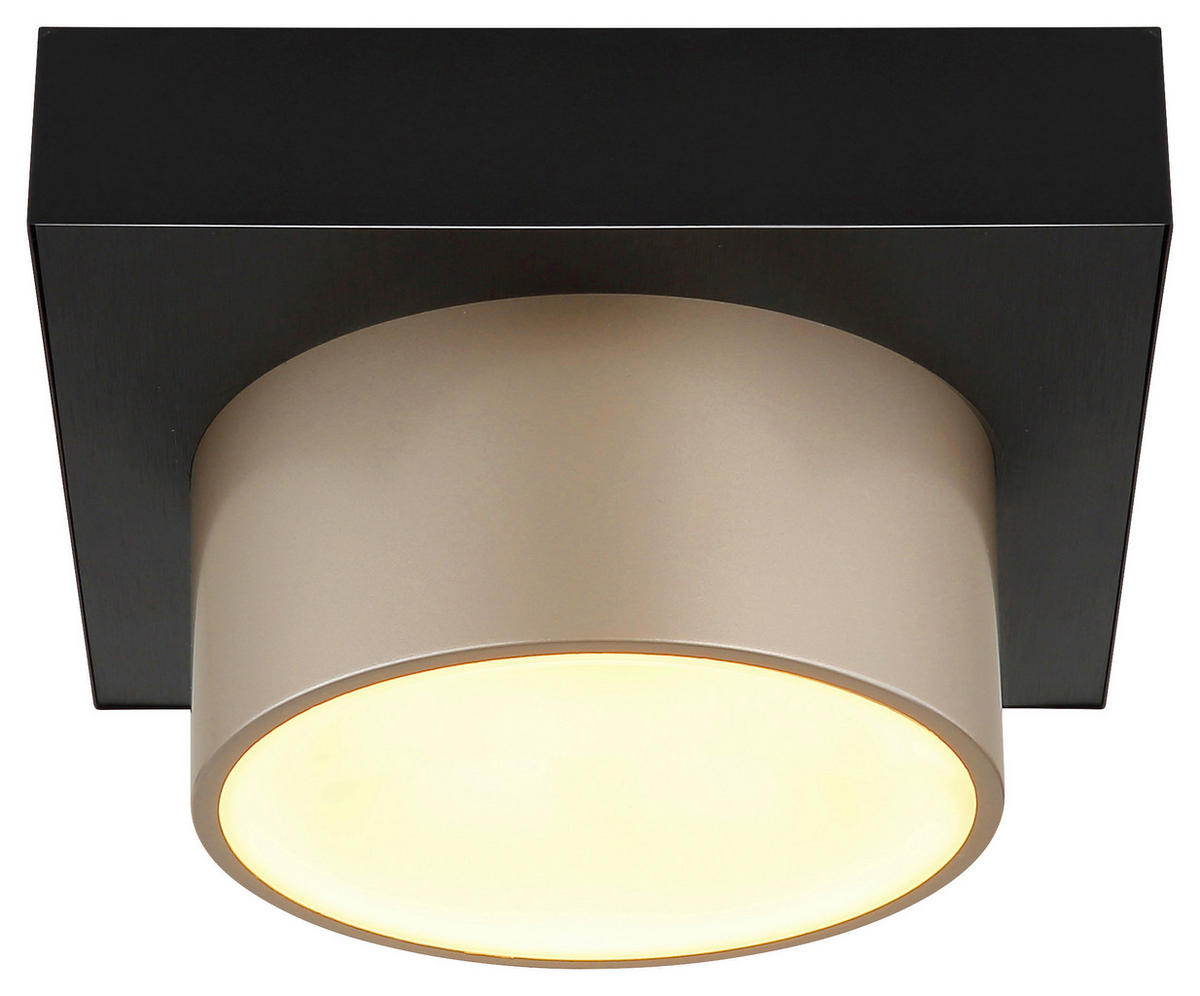 DECKENLEUCHTE 20/20/13 cm  - Champagner/Opal, Trend, Kunststoff/Metall (20/20/13cm) - Collet's Monde