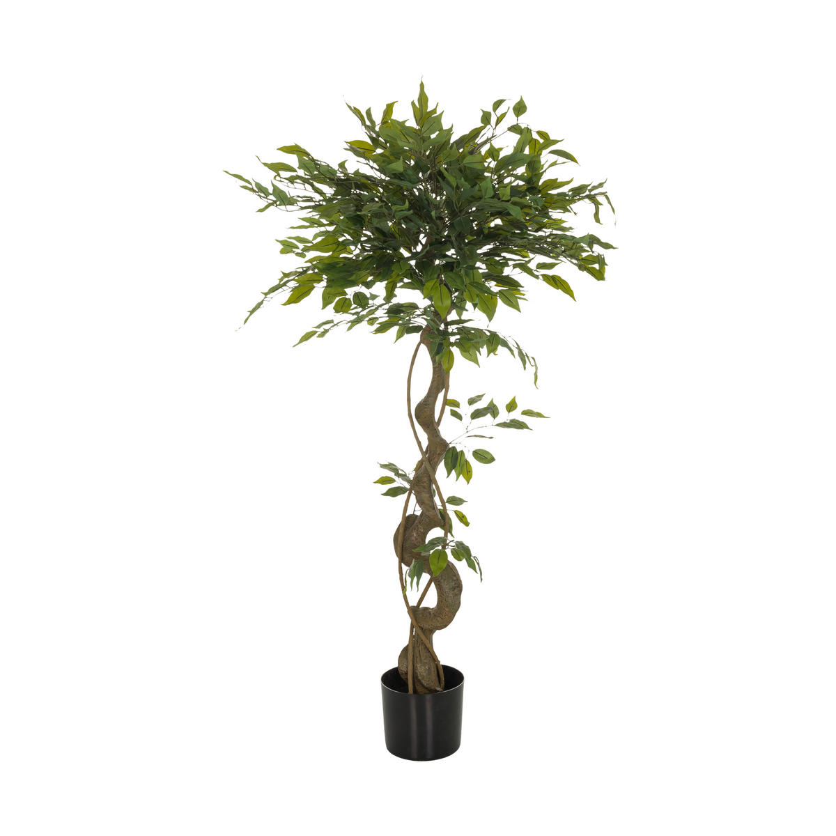 KUNSTPFLANZE Ficus Benjamina  - Schwarz/Braun, Basics, Kunststoff (70/120/70cm) - MID.YOU