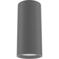 STROPNÍ BODOVÉ SVÍTIDLO, 6/13 cm  - šedá, Basics, dřevo (6/13cm)