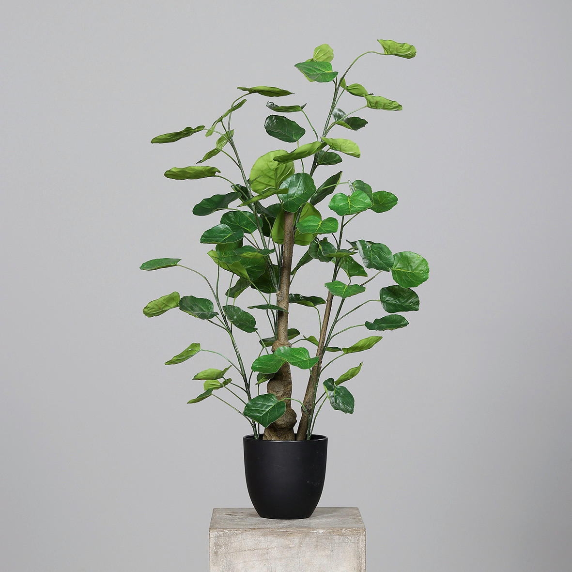 OKRASNA RASTLINA           90 cm    - Basics, umetna masa (90cm)