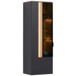 HÄNGEVITRINE in Anthrazit, Eichefarben   - Eichefarben/Anthrazit, Design, Glas/Holzwerkstoff (45,6/139,4/36cm) - Dieter Knoll