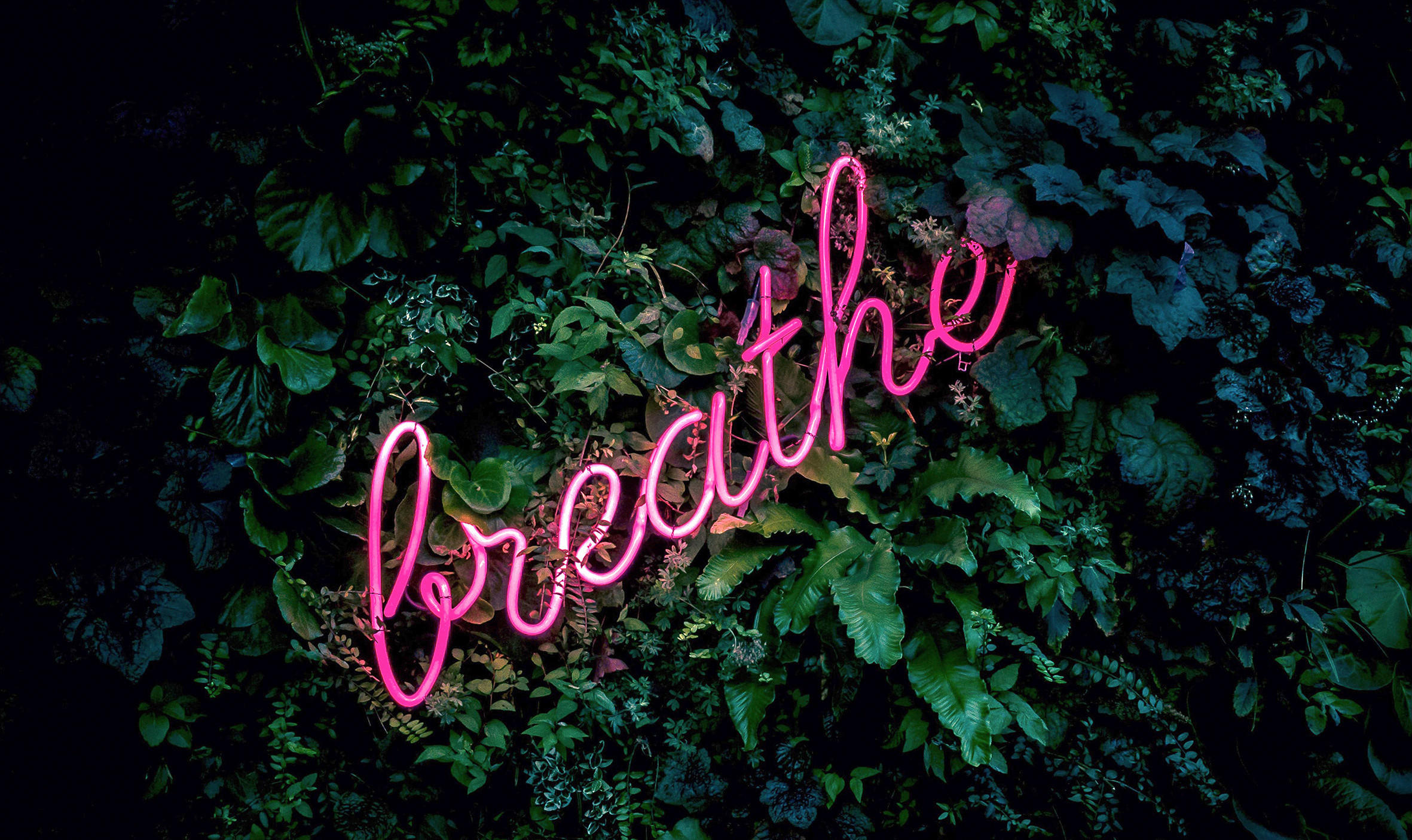 GLASBILD 118/70 cm  - Dunkelgrün/Jadegrün, Design, Glas (118/70cm) - Wandkraft