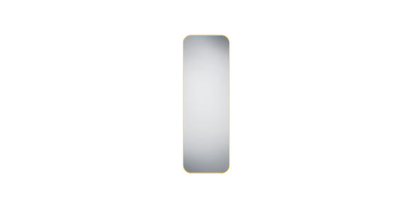 WANDSPIEGEL 50/150/2,8 cm  - Goldfarben, Trend, Glas/Metall (50/150/2,8cm) - Boxxx