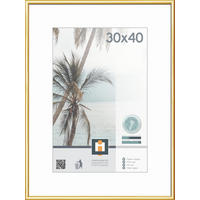 RÁM NA OBRAZY, 1 foto 30 cm x 40 cm - barvy zlata, Basics, plast/sklo (41/31cm)