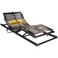 ELEKTRISCHER LATTENROST 90/200 cm, Kopfteil, Fußteil, Mittelzone verstellbar, Birke  - Anthrazit/Gelb, Basics, Holz/Kunststoff (90/200cm) - Novel