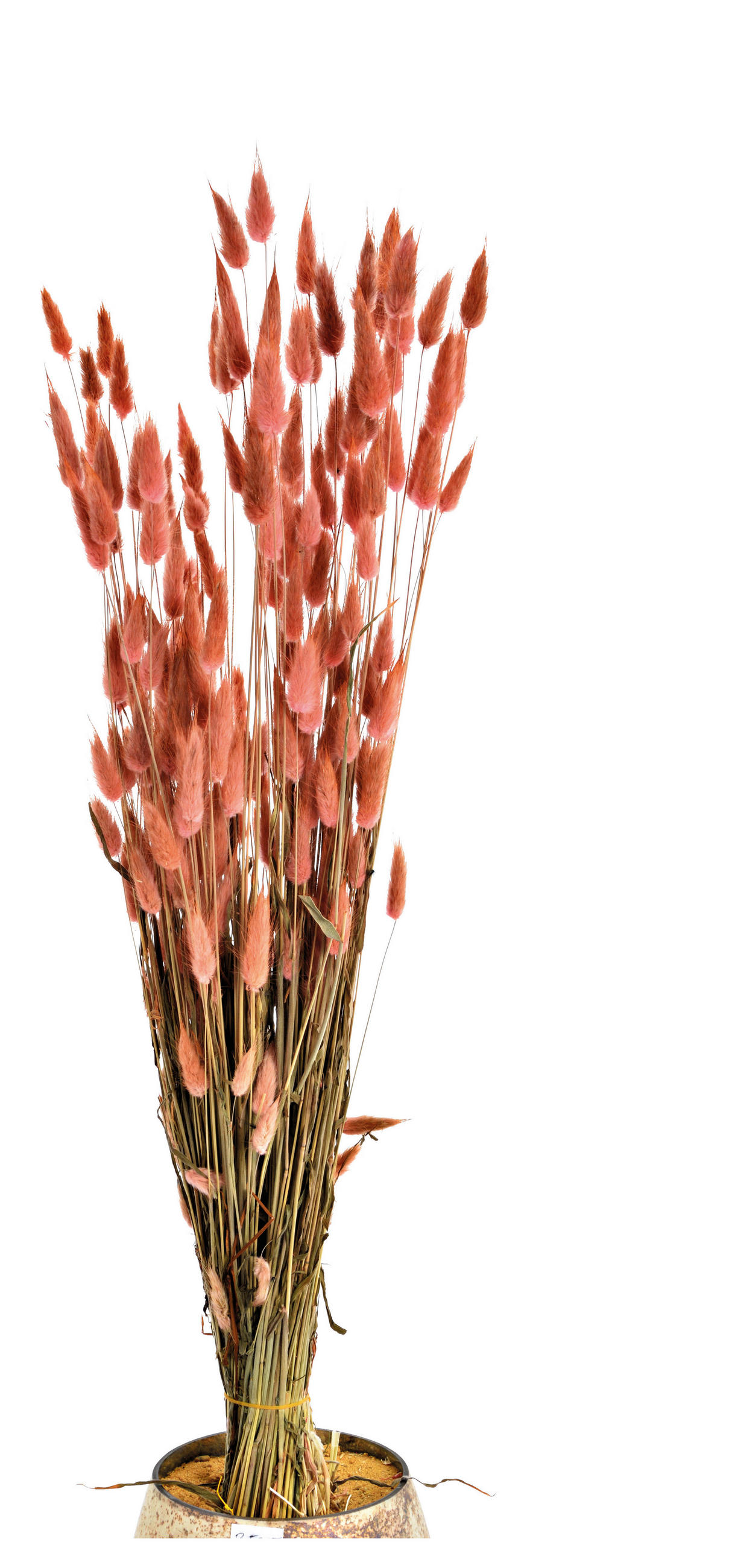 TROCKENBLUMENSTRAUß  - Pink/Rosa, Basics, Naturmaterialien (50cm)