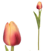 TULIPÁN 35 cm - zelená/žlutá, Basics (35cm)