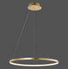 LED-HÄNGELEUCHTE Circle 60/60/120 cm   - Goldfarben, Design, Kunststoff/Metall (60/60/120cm)