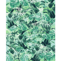 VLIESTAPETE  - Natur (200/250cm) - Komar